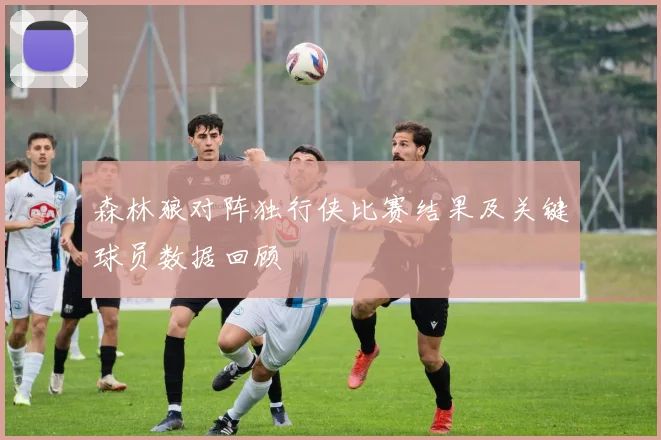 森林狼对阵独行侠比赛结果及关键球员数据回顾