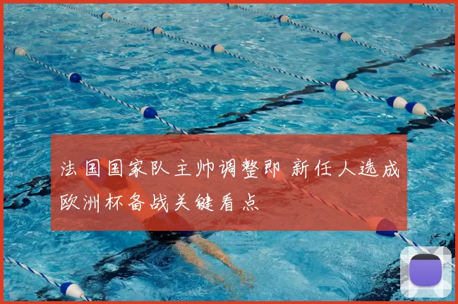法国国家队主帅调整即 新任人选成欧洲杯备战关键看点
