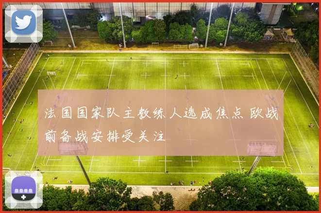 法国国家队主教练人选成焦点 欧战前备战安排受关注