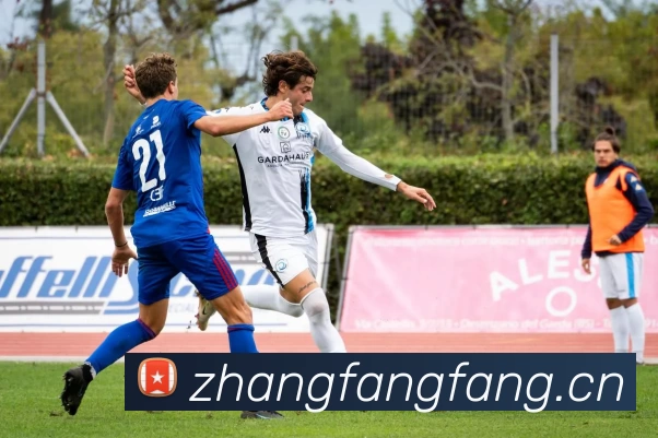 压球首页平台生态图